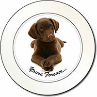 Chocolate Labrador Dog Love Car or Van Permit Holder/Tax Disc Holder