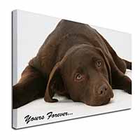 Chocolate Labrador Dog Love Canvas X-Large 30"x20" Wall Art Print