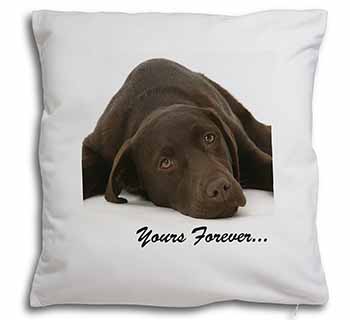 Chocolate Labrador Dog Love Soft White Velvet Feel Scatter Cushion