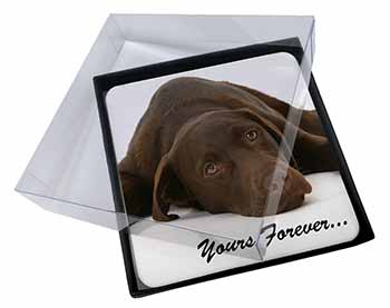 4x Chocolate Labrador Dog Love Picture Table Coasters Set in Gift Box