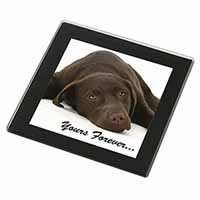 Chocolate Labrador Dog Love Black Rim High Quality Glass Coaster