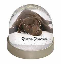 Chocolate Labrador Dog Love Snow Globe Photo Waterball