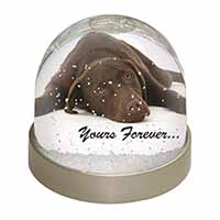 Chocolate Labrador Dog Love Snow Globe Photo Waterball