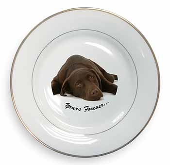 Chocolate Labrador Dog Love Gold Rim Plate Printed Full Colour in Gift Box