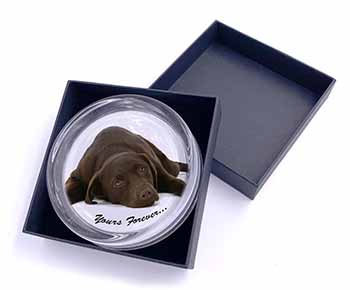 Chocolate Labrador Dog Love Glass Paperweight in Gift Box