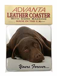 Chocolate Labrador Dog Love Single Leather Photo Coaster