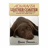 Chocolate Labrador Dog Love Single Leather Photo Coaster