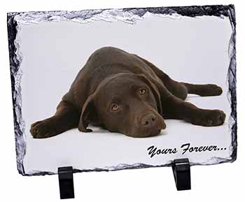 Chocolate Labrador Dog Love, Stunning Photo Slate