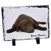 Chocolate Labrador Dog Love, Stunning Photo Slate