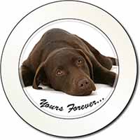 Chocolate Labrador Dog Love Car or Van Permit Holder/Tax Disc Holder