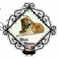 Golden Retriever Dog 