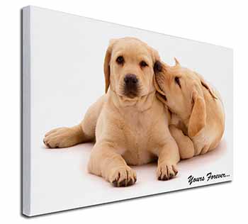 Yellow Labrador Dog 