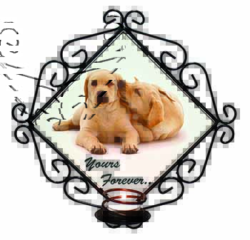 Yellow Labrador Dog 