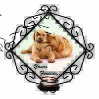 Yellow Labrador Dog 