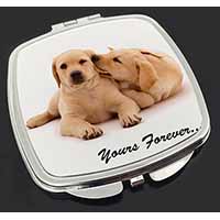 Yellow Labrador Dog 