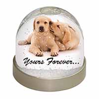 Yellow Labrador Dog 