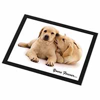 Yellow Labrador Dog 