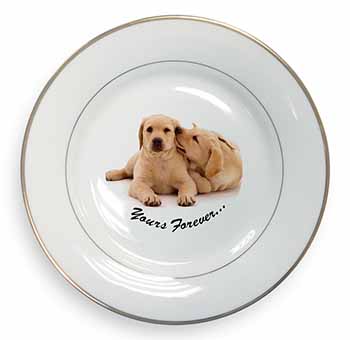 Yellow Labrador Dog 