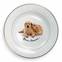 Yellow Labrador Dog 