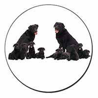 Black Labradors Fridge Magnet Printed Full Colour