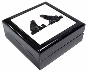 Black Labradors Keepsake/Jewellery Box
