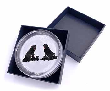 Black Labradors Glass Paperweight in Gift Box