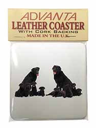 Black Labradors Single Leather Photo Coaster