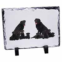 Black Labradors, Stunning Photo Slate