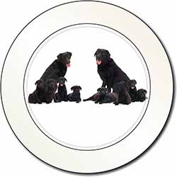 Black Labradors Car or Van Permit Holder/Tax Disc Holder