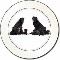 Black Labradors Car or Van Permit Holder/Tax Disc Holder