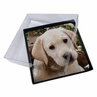 4x Yellow Labrador Puppy Picture Table Coasters Set in Gift Box