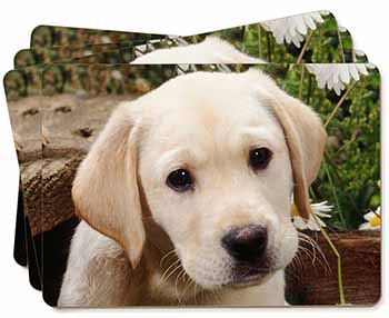 Yellow Labrador Puppy Picture Placemats in Gift Box
