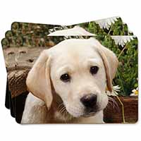 Yellow Labrador Puppy Picture Placemats in Gift Box
