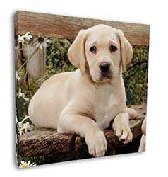 Yellow Labrador Puppy Square Canvas 12"x12" Wall Art Picture Print