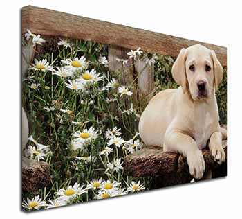 Yellow Labrador Puppy Canvas X-Large 30"x20" Wall Art Print