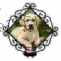 Yellow Labrador Puppy Wrought Iron Wall Art Candle Holder