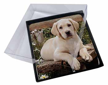 4x Yellow Labrador Puppy Picture Table Coasters Set in Gift Box - Advanta Group®