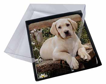 4x Yellow Labrador Puppy Picture Table Coasters Set in Gift Box