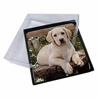 4x Yellow Labrador Puppy Picture Table Coasters Set in Gift Box