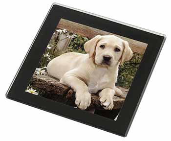 Yellow Labrador Puppy Black Rim High Quality Glass Coaster
