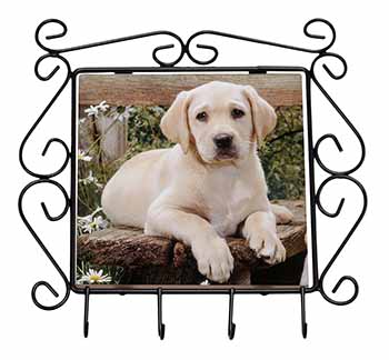 Yellow Labrador Puppy Wrought Iron Key Holder Hooks