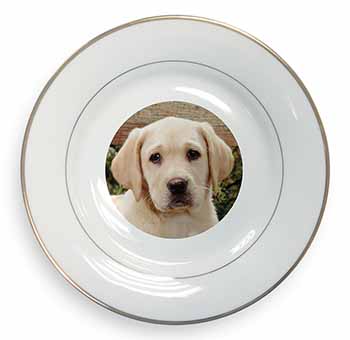 Yellow Labrador Puppy Gold Rim Plate Printed Full Colour in Gift Box