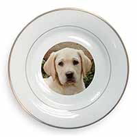 Yellow Labrador Puppy Gold Rim Plate Printed Full Colour in Gift Box