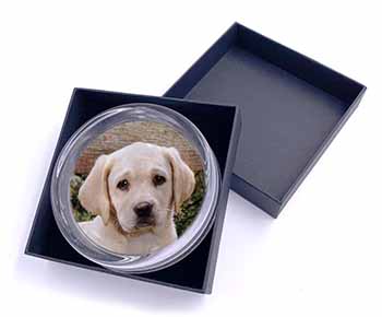 Yellow Labrador Puppy Glass Paperweight in Gift Box