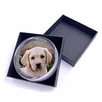 Yellow Labrador Puppy Glass Paperweight in Gift Box