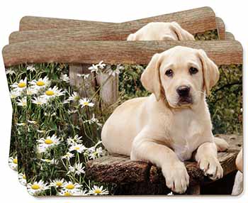 Yellow Labrador Puppy Picture Placemats in Gift Box - Advanta Group®