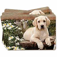 Yellow Labrador Puppy Picture Placemats in Gift Box - Advanta Group®
