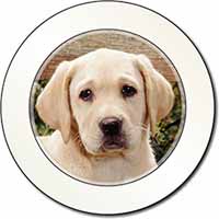 Yellow Labrador Puppy Car or Van Permit Holder/Tax Disc Holder