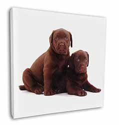 Chocolate Labrador Puppy Dogs Square Canvas 12"x12" Wall Art Picture Print
