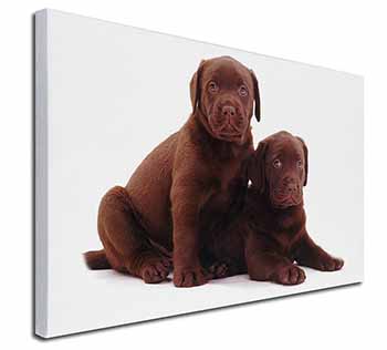 Chocolate Labrador Puppy Dogs Canvas X-Large 30"x20" Wall Art Print